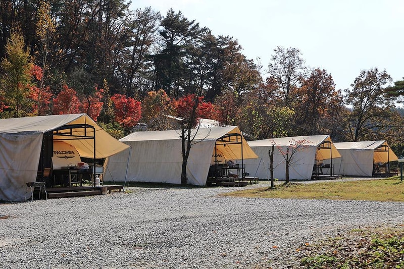 벤캠프(Ben Camp) 시설 사진 14