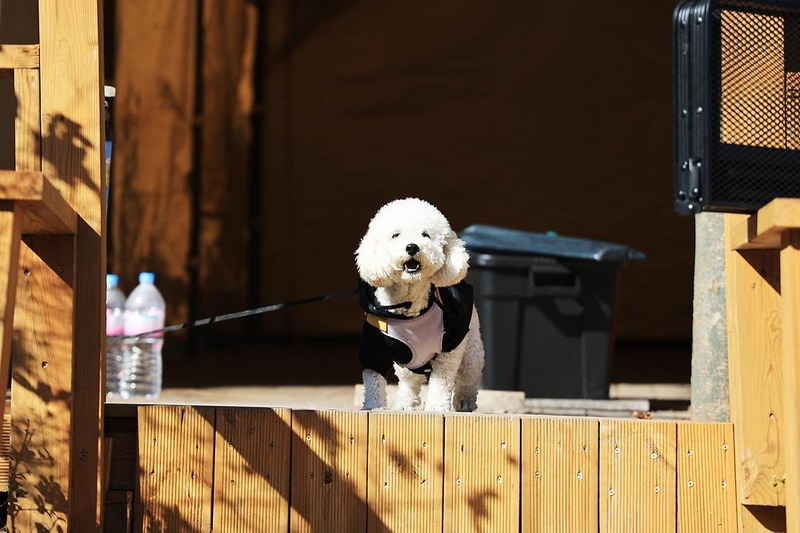 지투(G2) 캠핑장 시설 사진 16