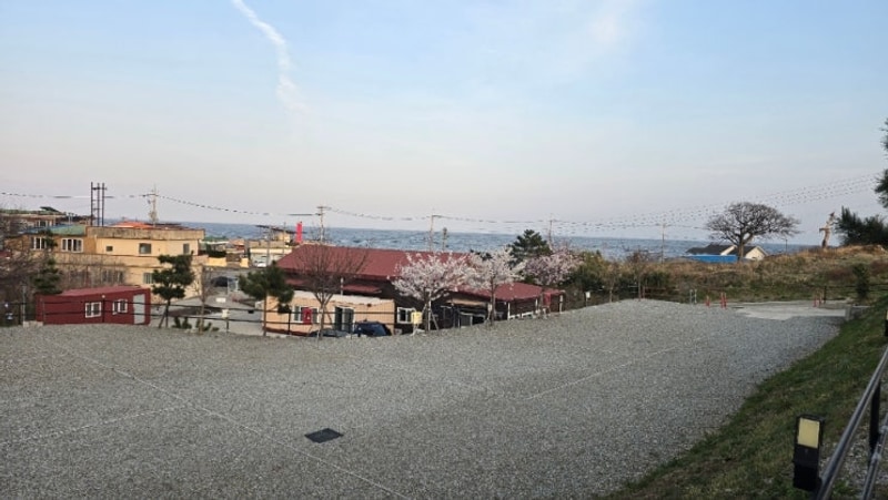 포항 사계오토캠핑장 구룡포캠핑