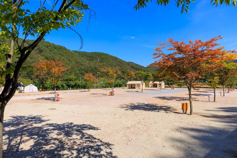 돌고래 오토 캠핑장 시설 사진 10