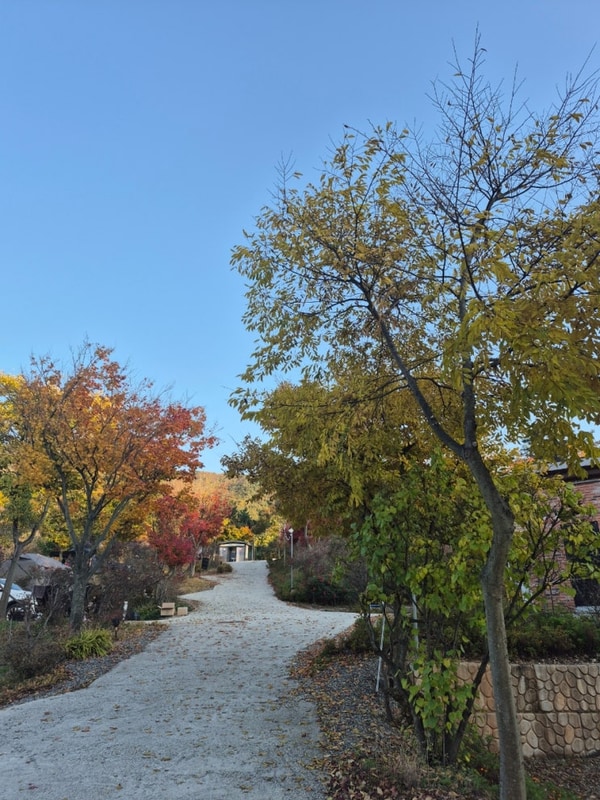 부안 노을숲캠핑장