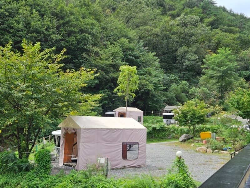 [홍천] 비발디캠핑파크 미루나무점 내돈내산 후기