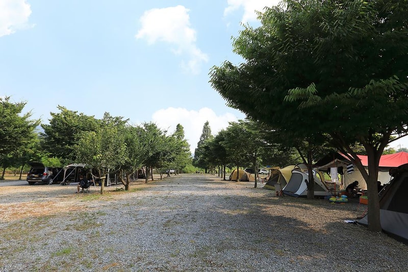 자연애캠핑장 시설 사진 10