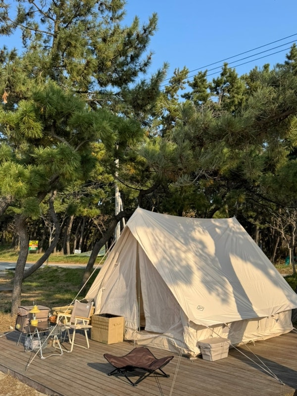 애견동반 가능한 고창 동호국민여가캠핑장｜바다뷰 맛집...