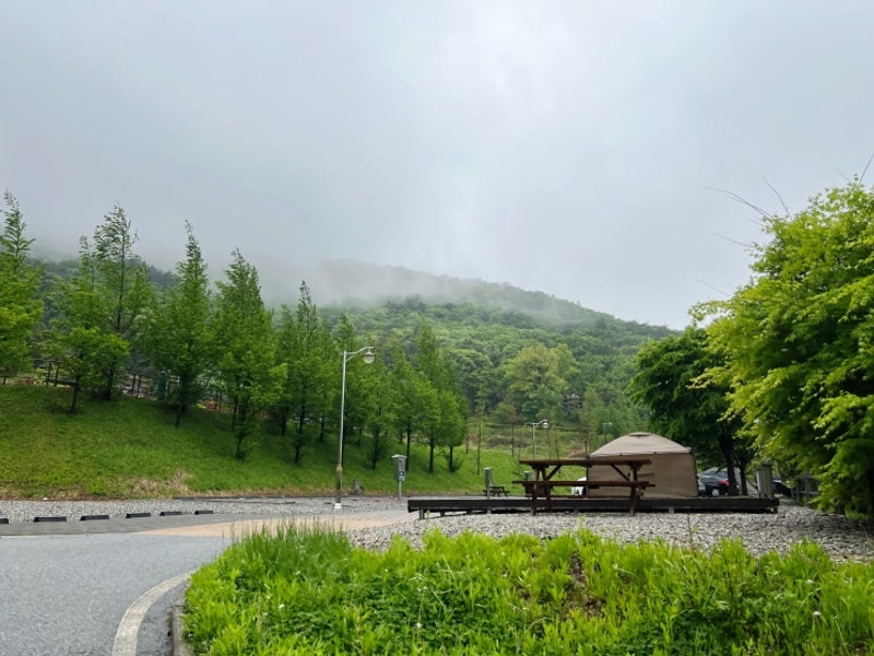 충북 캠핑장] 음성군 수레의산 자연휴양림 국민여가캠핑장 - C02