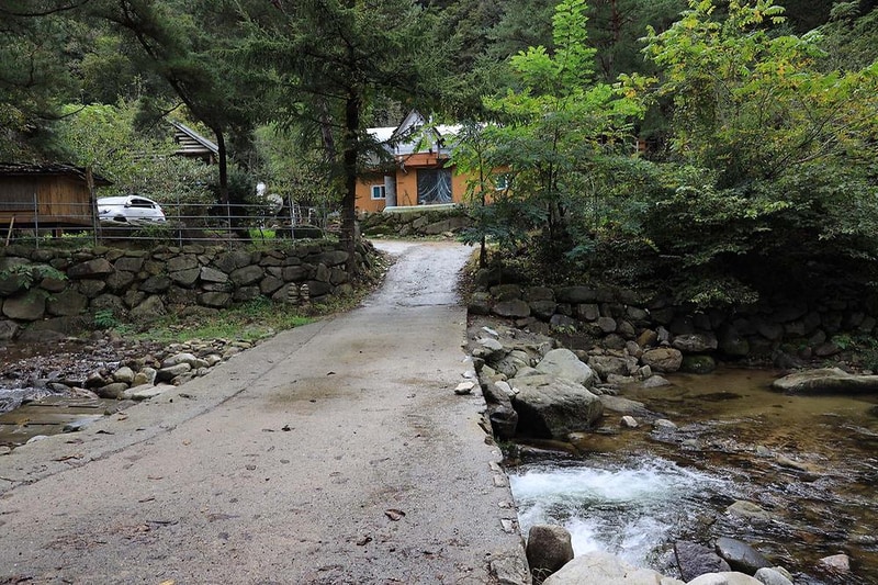 트리하우스계곡야영장 시설 사진 19