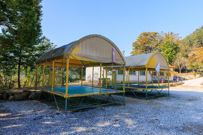 시골학교캠핑장 시설 사진 1