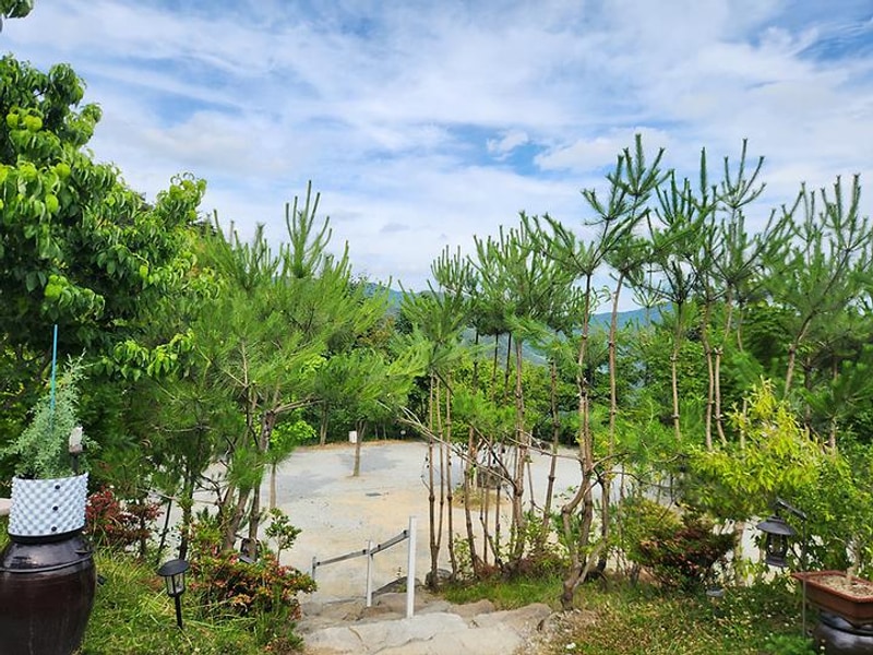 숲속애캠핑장 대표 사진