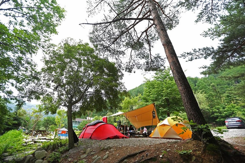 용골송어와 캠핑 시설 사진 20