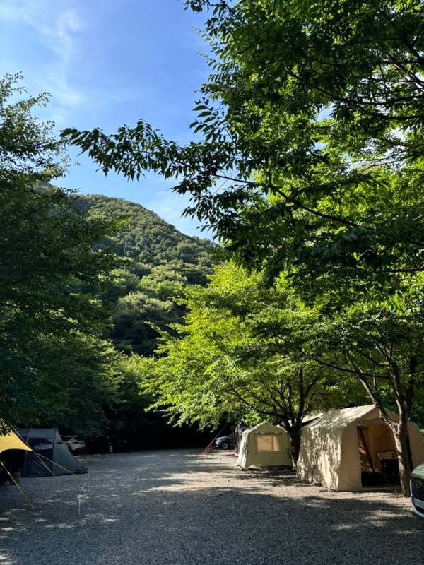포항 별삼킨별 캠핑장(차박가능), 하옥계곡,아이두젠옥타곤...