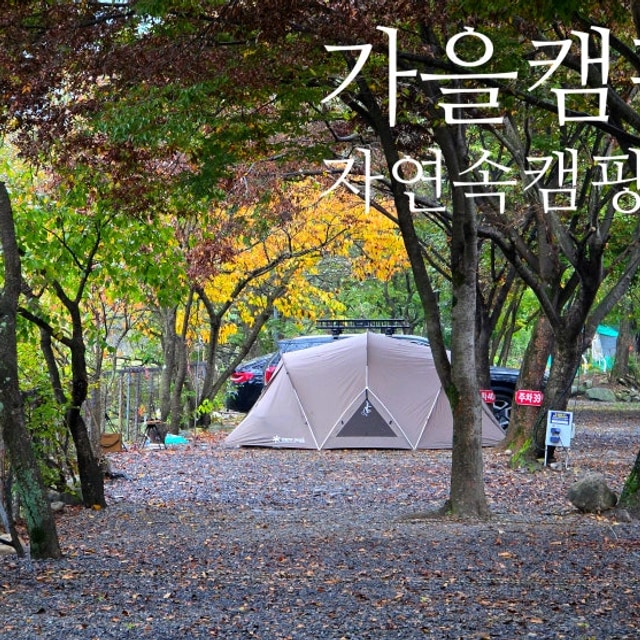 자연속 캠핑장 대표 사진