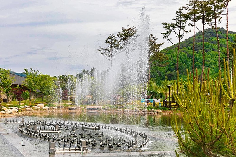 삼강나루캠핑장 시설 사진 30