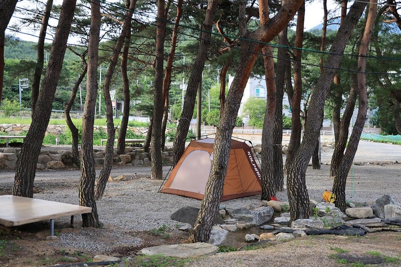 울산 힐링캠프 시설 사진 9