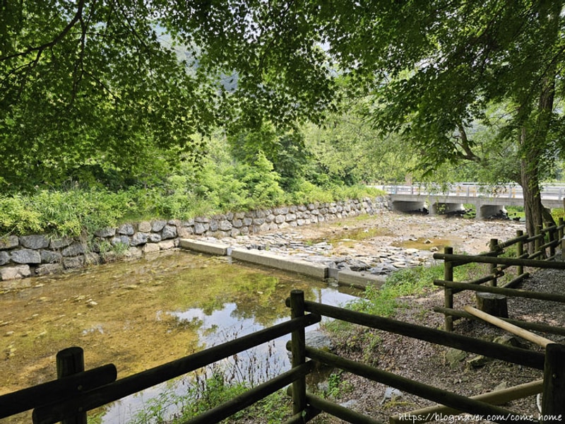 제천 용두산 오토캠핑장 _ C31,C32