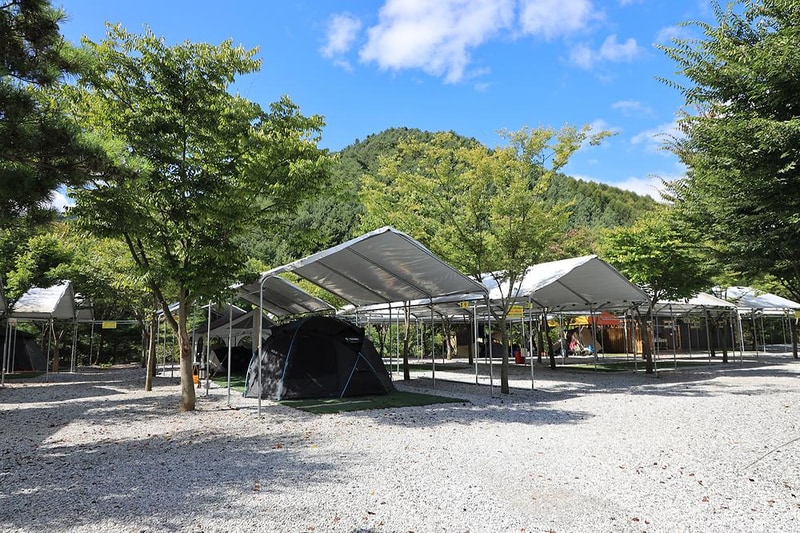 에코캠프 시설 사진 1