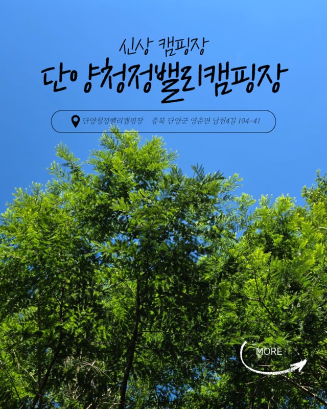 단양청정밸리캠핑장 후기