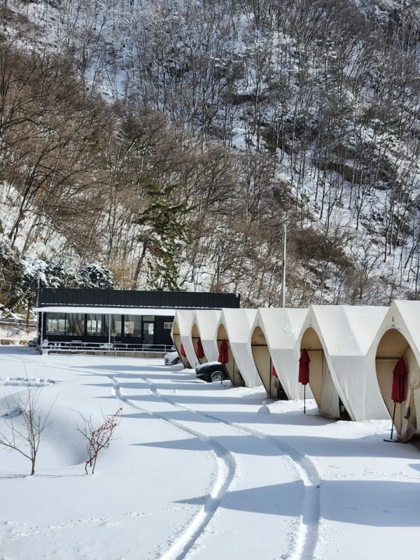 가평 | 하늘숲빌리지글램핑 내돈내산 숙박 후기, 서울 근교...