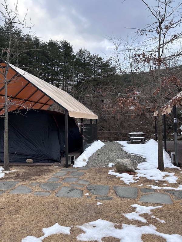 양양 힐링 캠핑 완전 가능! 「양양 포레스트 캠핑장」