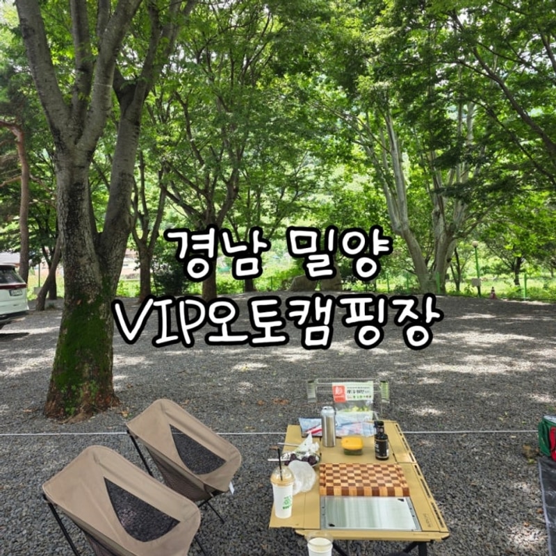 여름 캠핑은 경남 밀양 VIP오토캠핑장(계곡 바로 옆 그늘 많음)