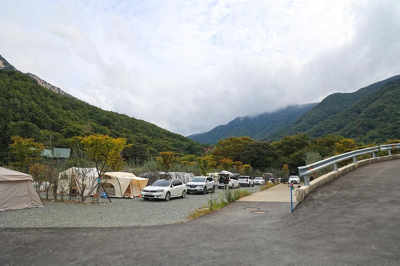 비타민 팜 오토캠핑장 시설 사진 11
