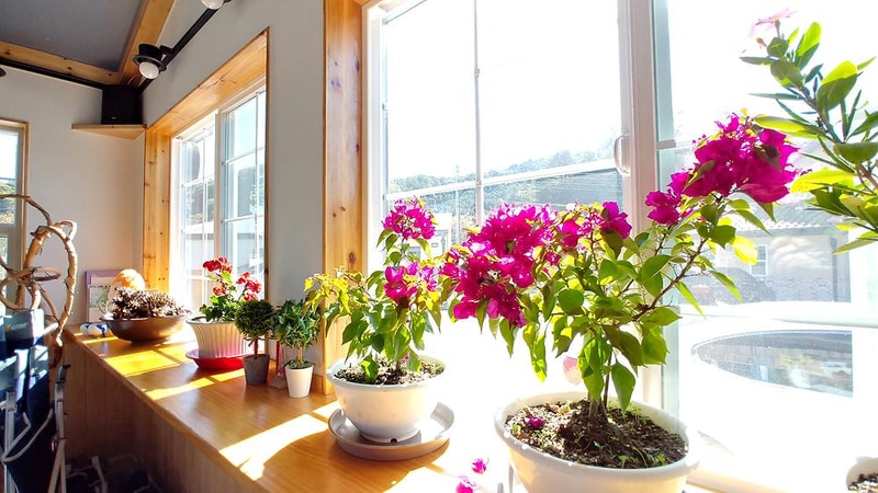 위크팜글램핑 시설 사진 7