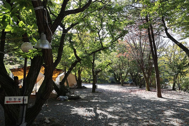 알프스펜션 캠핑&글램핑 시설 사진 3