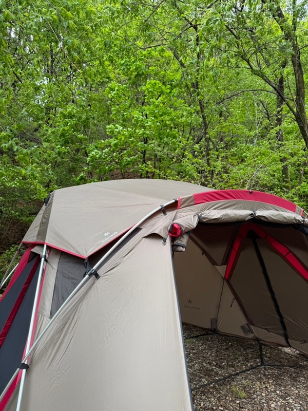 봉화 숲속캠핑장 B8