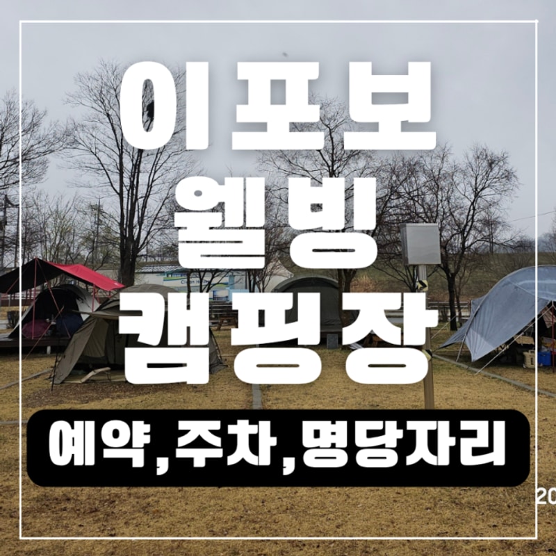 여주 이포보 웰빙캠핑장 데크 55번 자리 후기