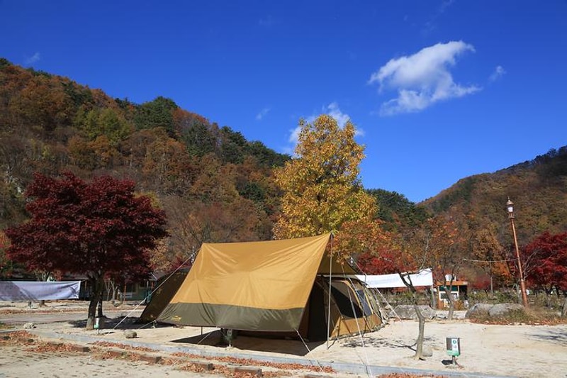달궁자동차야영장 대표 사진