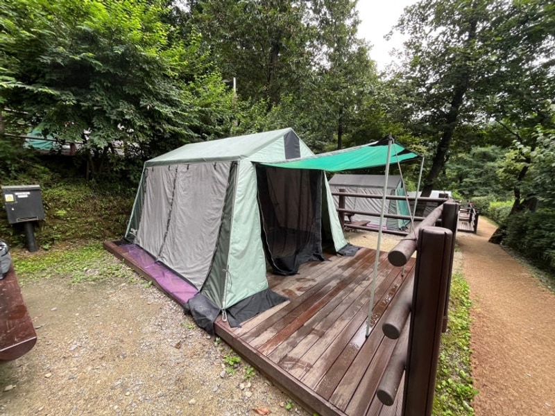 강동그린웨이 가족캠핑장 | 매화나무 캠핑장 1박 후기