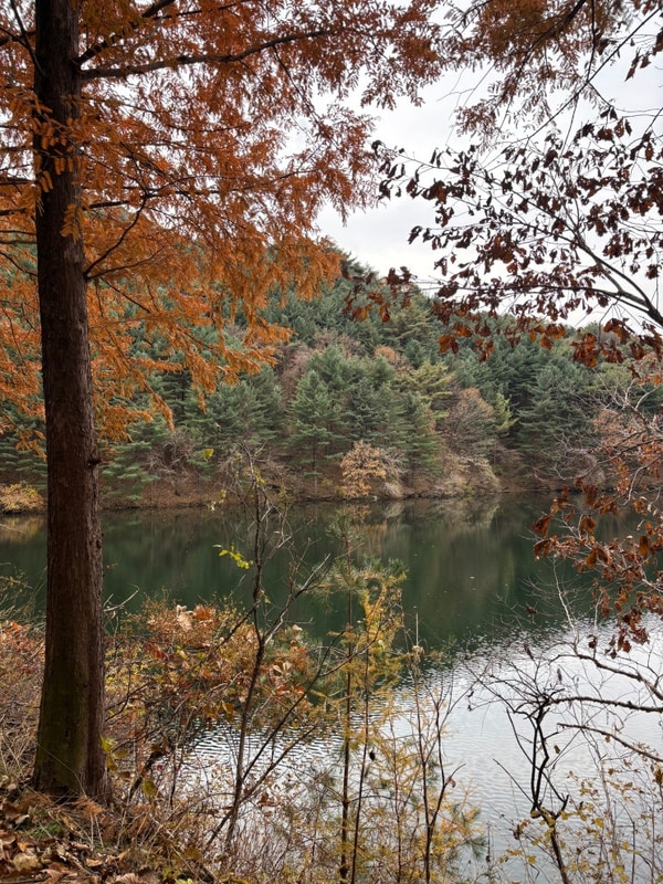 국망봉 자연휴양림 캠핑장