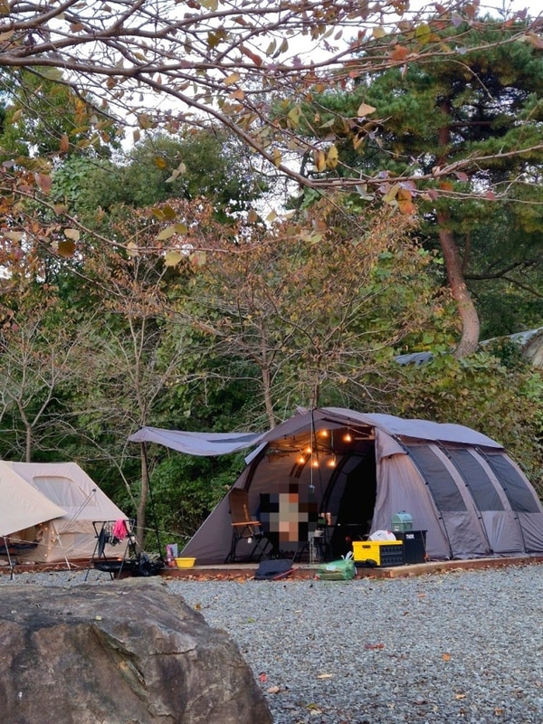 29th 경주시 산내면 산속 깊은  마운틴뷰 경주힐링캠프