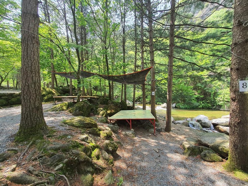 단양 천동계곡 캠핑장 그린농원 시설 사진 14