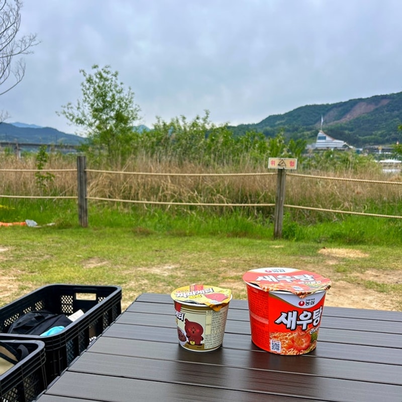 (경북 칠곡군) 칠곡보 오토캠핑장 사이트 후기