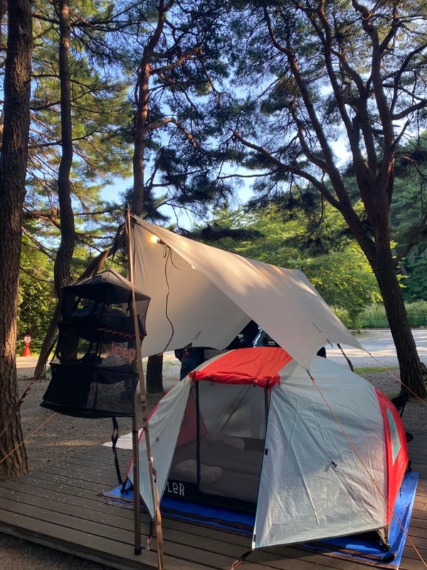 8월 캠핑 : 양양 솔바다 캠핑장