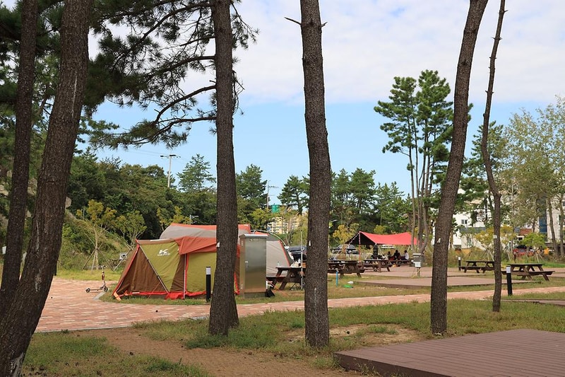 울주해양레포츠센터 야영장 시설 사진 22