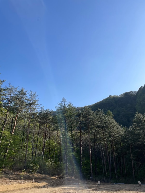 [강원 강릉시] 바람부리별밤캠핑장｜5월에 2박 3일 캠핑~~