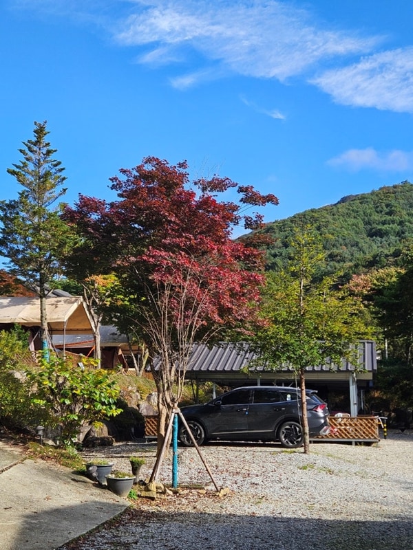 10. 제천 달재오토캠핑장