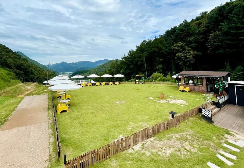 캐닌힐스(CANINHILLS) 시설 사진 8