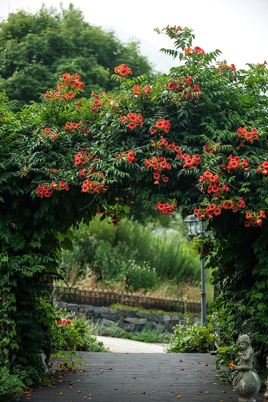 들꽃피는언덕 캠핑장 시설 사진 11