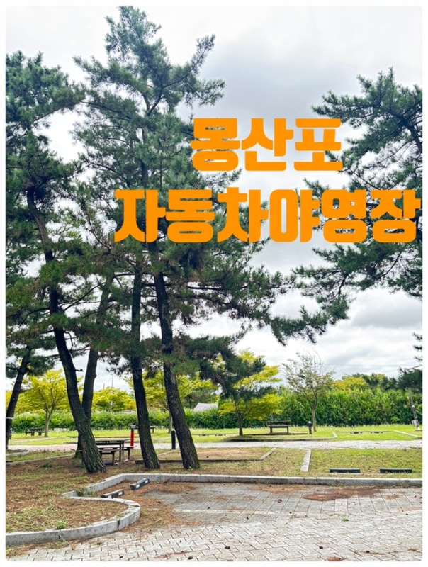 [태안] #2 캠핑일지 / 태안... 몽산포해루질 '몽산포자동차야영장'