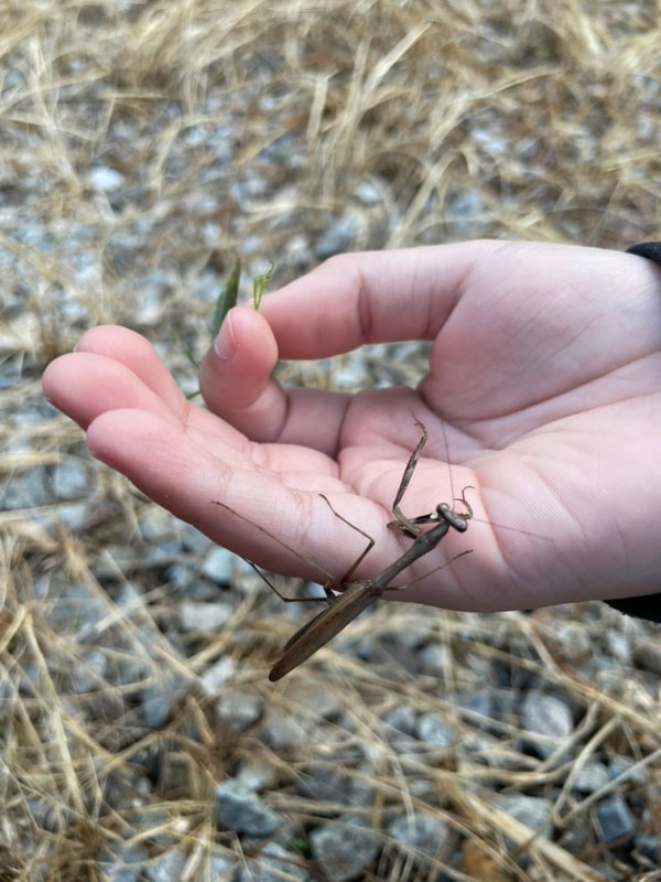 아들과 함께한 양산 라라캠핑장 마음이 따뜻해진 연휴 캠핑