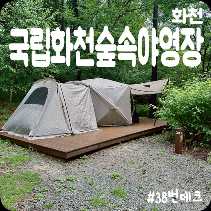 [화천] 여름 숲속 캠핑 ”국립화천숲속야영장“ 38번 사이트...
