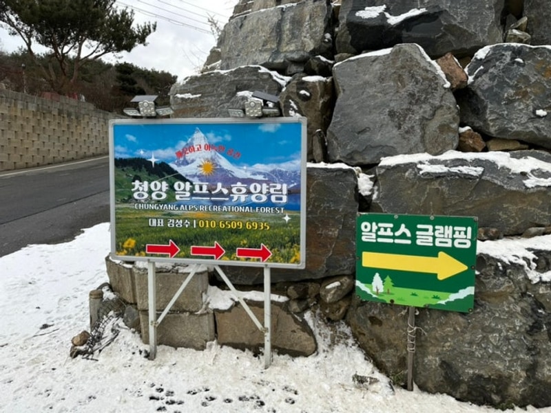 청양 알프스 글램핑 방문후기