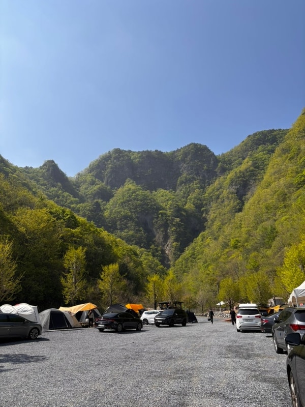 초보캠핑러의 설레는 첫 캠핑 일기 [평창 코끼리마을 캠핑장]
