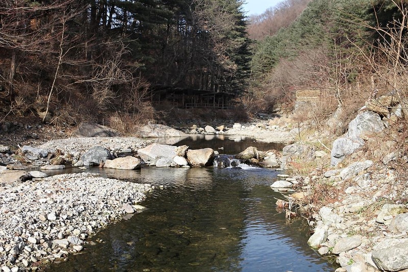 (주)수동자연마을 힐링별밤수목원캠핑장 시설 사진 12