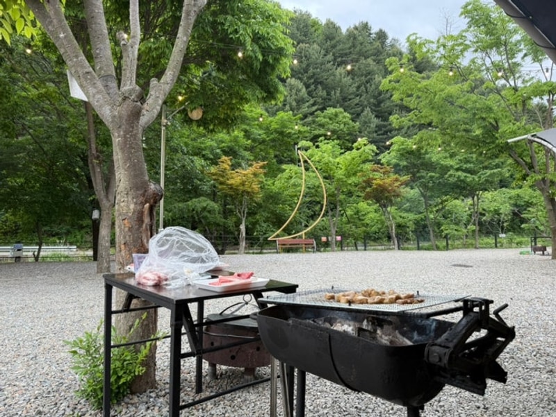 춘천 글램핑 가족여행 추천 숲속에 머물다 :)