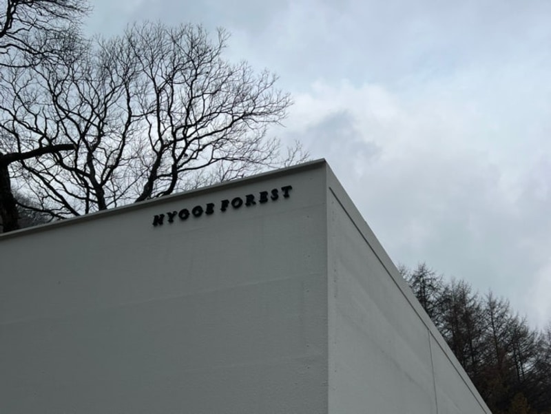 평창 휘게포레스트 캠핑장/C2 사이트/명당 추천