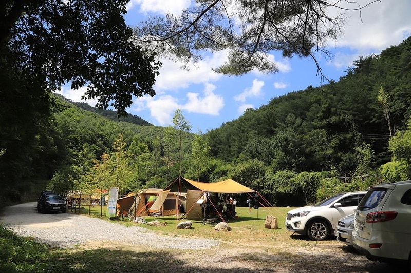 피노키오 자연휴양림 야영장 시설 사진 8