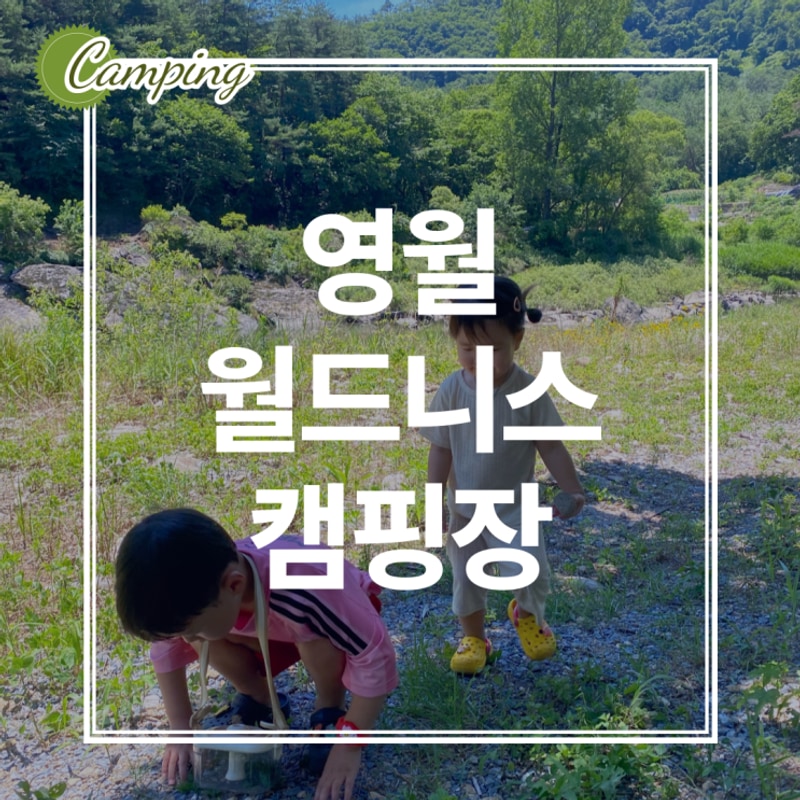 [키즈캠핑] 영월 월드니스 오토캠핑장 패밀리 사이트 후기